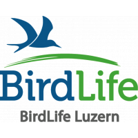 logo birdlife lu blue