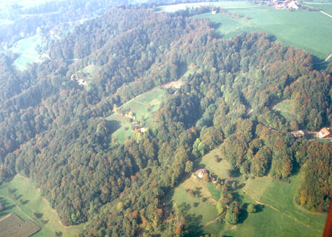 Aemmenberg-95ps.jpg