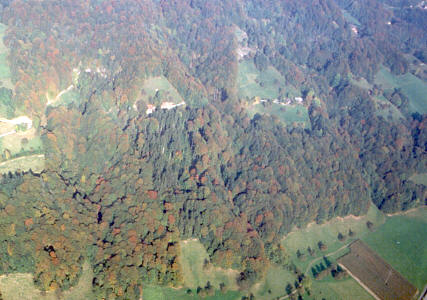 Aemmenberg-95ps.jpg