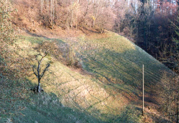 Aemmenberg-95ps.jpg