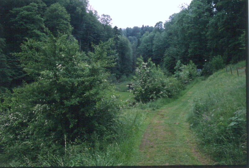 Aemmenberg-95ps.jpg