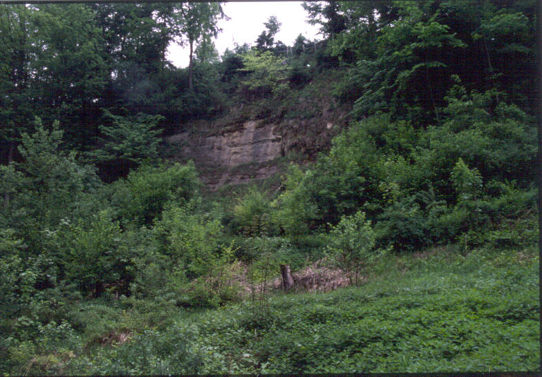 Aemmenberg-95ps.jpg