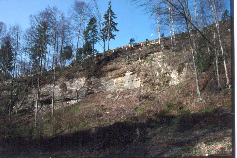 Aemmenberg-95ps.jpg