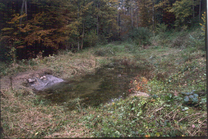 Aemmenberg-95ps.jpg