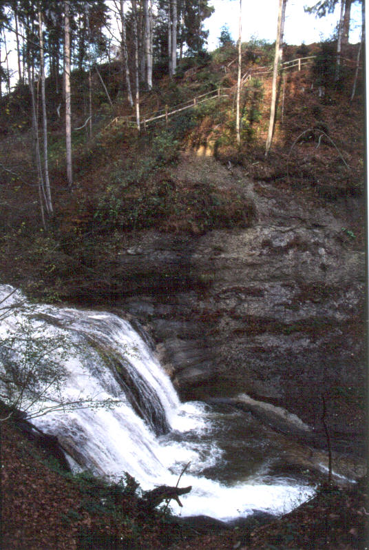 Aemmenberg-95ps.jpg